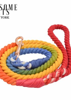 ROPE LEASH - DARK RAINBOW