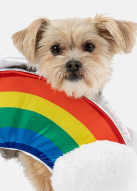 🌈☁️ Rainbow Dog Costume – Colorful & Fun Matching Pet Outfit