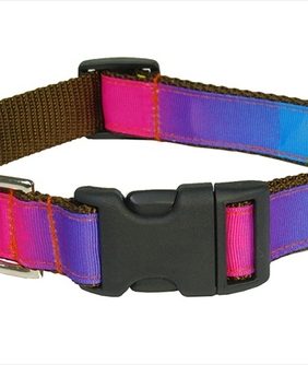Dog Collar, Rainbow - Large