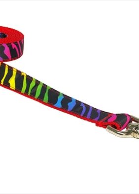 Sassy Dog Wear ZEBRA-RAINBOW3-L 6 ft. Zebra Dog Leash- Rainbow - Mediu