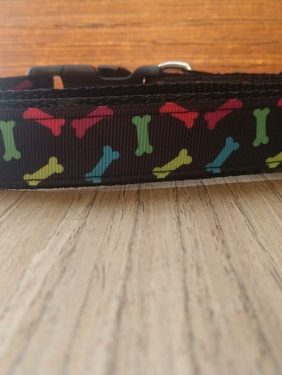 Leash/ Large/ Colorful Bones